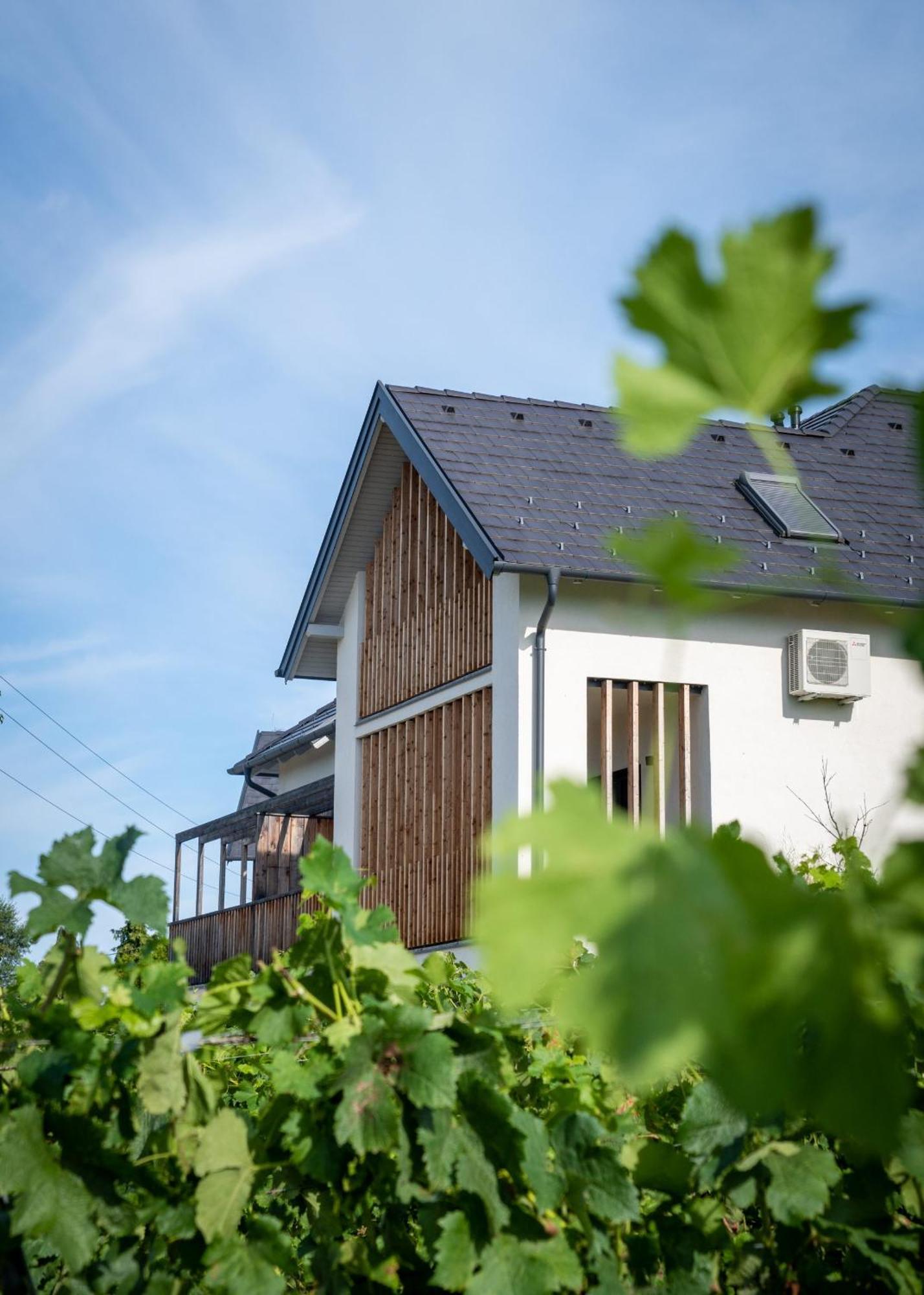 Апарт отель Domaine Edegger - Organic Winery Badacsony Бадачоньтомай Экстерьер фото